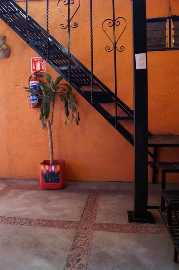 Casa Xochimilco Apartment Oaxaca Luaran gambar